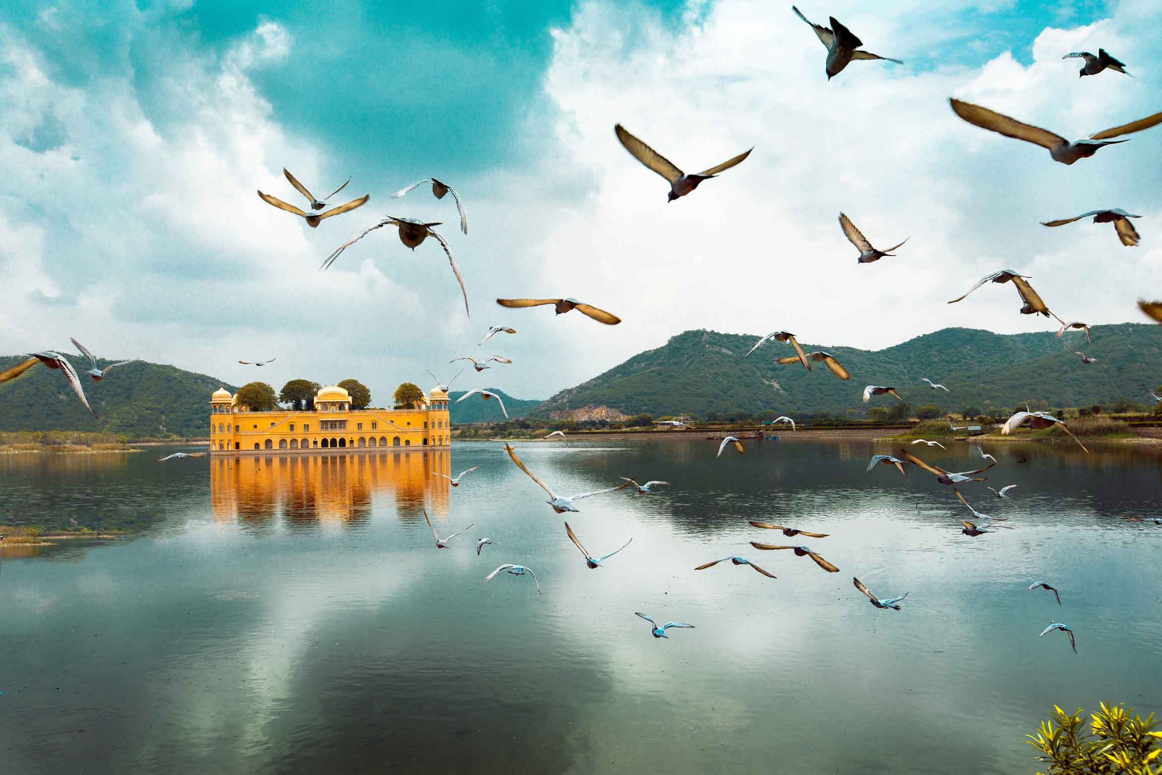Forts & Deserts of Rajasthan