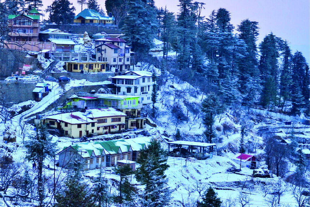 shimla