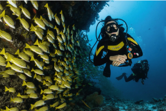 snorkelling