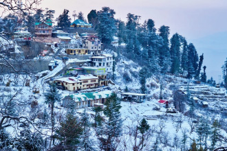 shimla